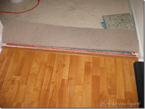 Careful, those nails are sharp!